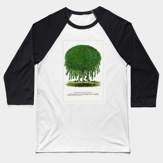 Kilmarnock Weeping Willow Tree lithograph (1900) Baseball T-Shirt by WAITE-SMITH VINTAGE ART